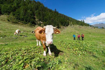 Wandern Familienwanderhof