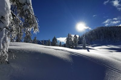 Familienwanderhof Winter
