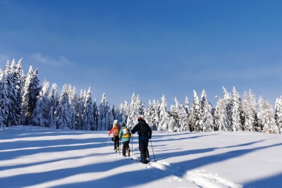 Familienwanderhof Winter