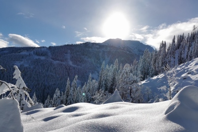 Familienwanderhof Winter