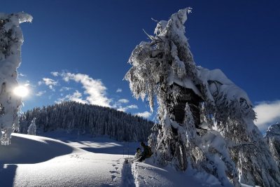 Familienwanderhof Winter