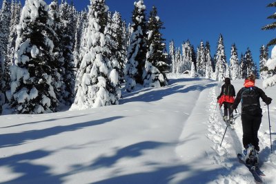 Familienwanderhof Winter